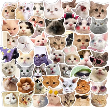 50 gato de pegatinas Gato memes Graffiti pegatinas lindo divertido gracioso gato en la cabeza pegatinas diversión Creativa cotidiana de la decoración de la atmósfera