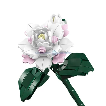 Camelia Modelo de Bloques de Construcción Colección Botánica de la Serie de Mundo de las Flores MOC 24007 DIY Ideas Ramo de flores de la Planta de Ladrillos de Juguete de Regalo de las Niñas