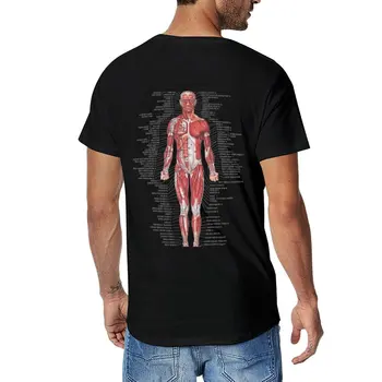 Nuevo Sistema Muscular del Cuerpo Humano T-Shirt coreano de la moda de manga Corta divertida camiseta de diseñador de la camiseta de los hombres